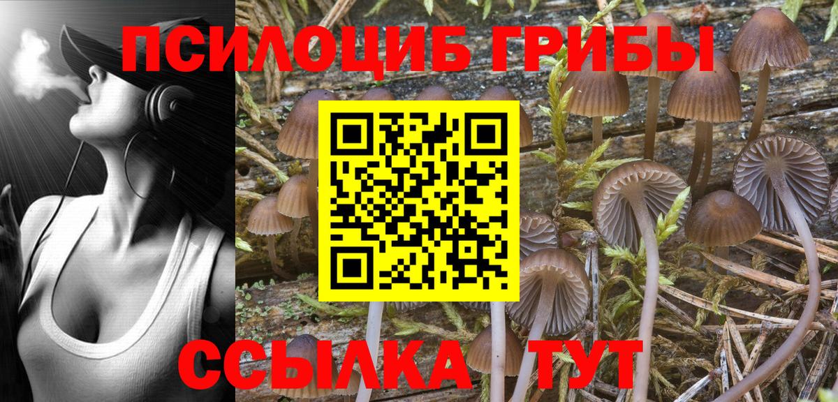 Златоуст  Псилоцибиновые грибы Cubensis  Вход с VPN 